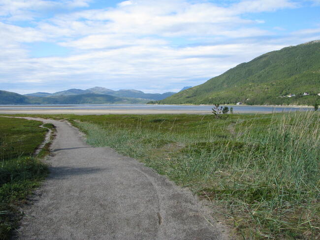 Kvænnes sti
