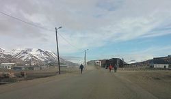 Humper på veiene i Longyearbyen