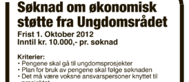 Søknad ungdomsrådet