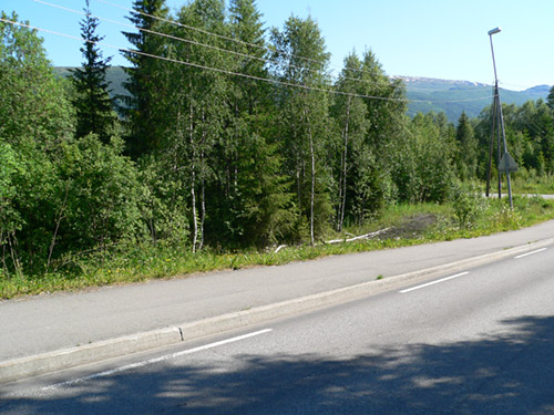 P 1010050