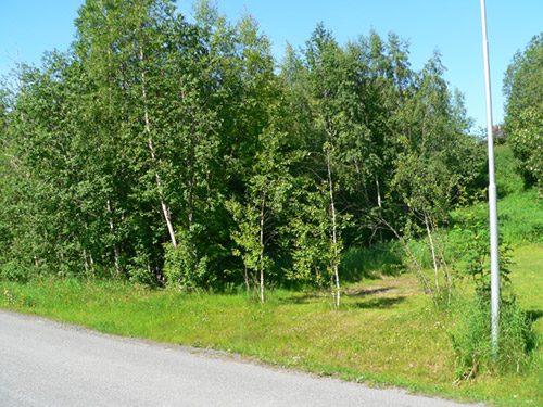 P 1010053