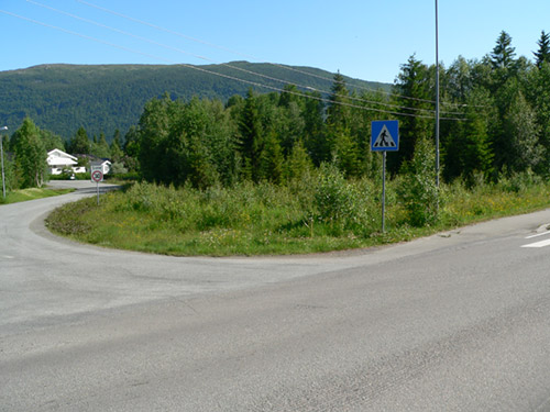 P 1010042