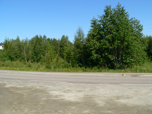 P 1010041
