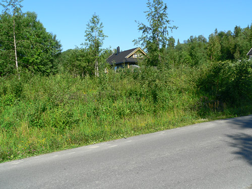 P 1010013