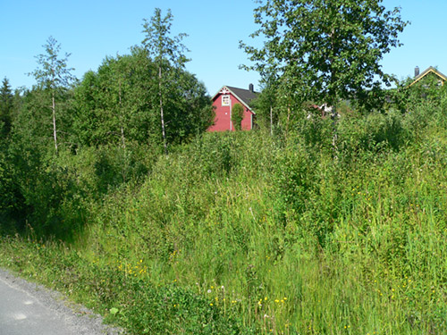 P 1010012