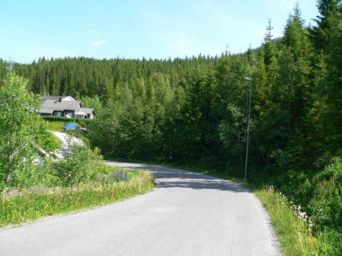 Bjerkalia tomt 8 1 Bjerkalia tomt 8 1