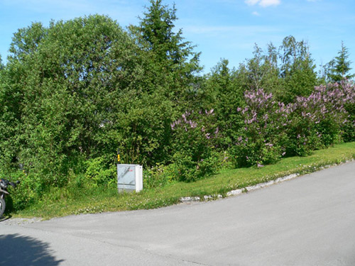 Bjerkalia tomt 26 2 Bjerkalia tomt 26 2