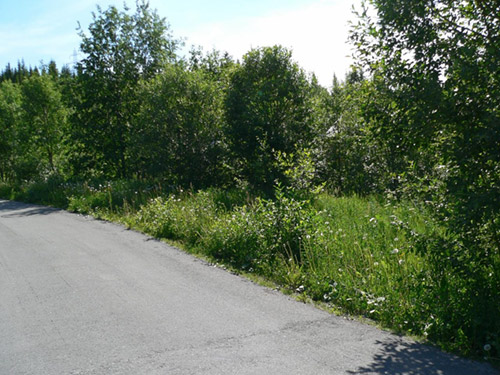 Bjerkalia tomt 29 2 Bjerkalia tomt 29 2