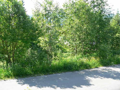 Bjerkalia tomt 29 3 Bjerkalia tomt 29 3