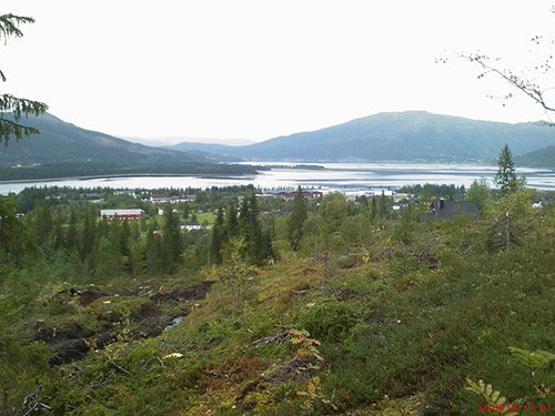 Bjerkalia tomt 48 6 Bjerkalia tomt 48 6