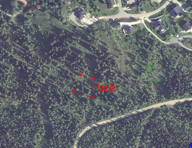 Bjerkalia tomt  49  1