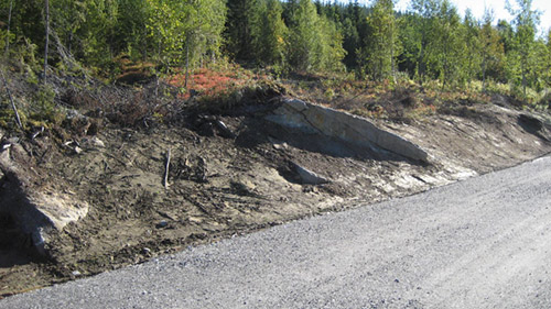 Bjerkalia tomt  57  3