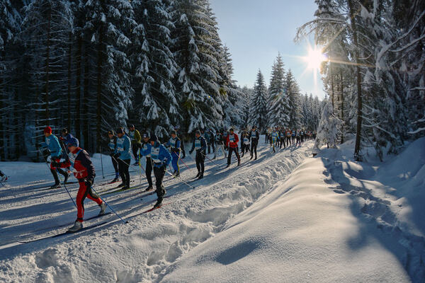 Group NordicFocus