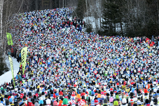 TRåNGT OM PLATSEN i första backen i Vasaloppet 2013! Foto: NORDIC FOCUS