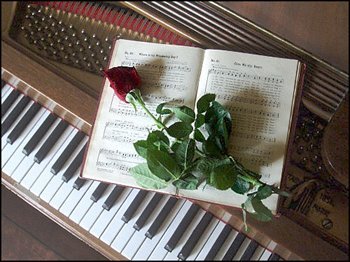 3_piano_og_rose