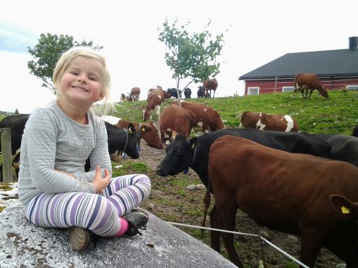 Signe Lenning