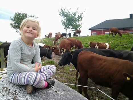 Signe Lenning