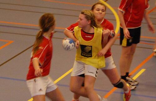 handball_fighting