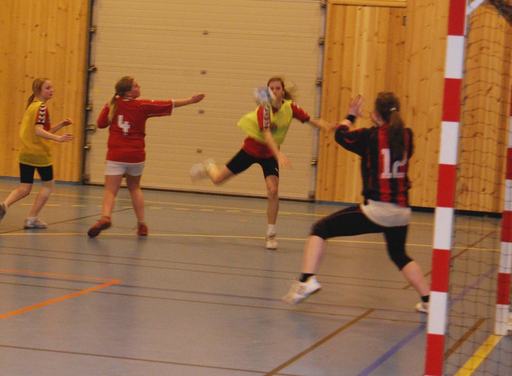 handball_keeper_redder