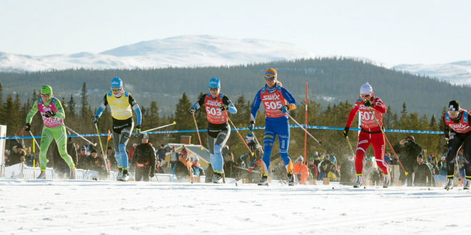 DAMERNA STARTADE först i Årefjällsloppet, något som nu tjeckiska Jizerska Padesatka kommer att ta efter när Swix Ski Classics startar i januari. Foto: MAGNUS ÖSTH