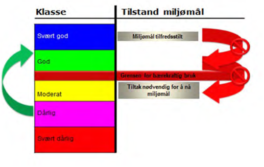 Bilde2.png