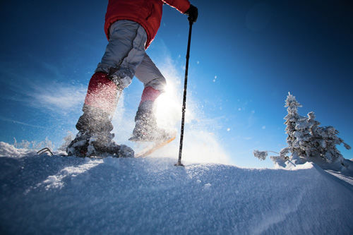 ski ski