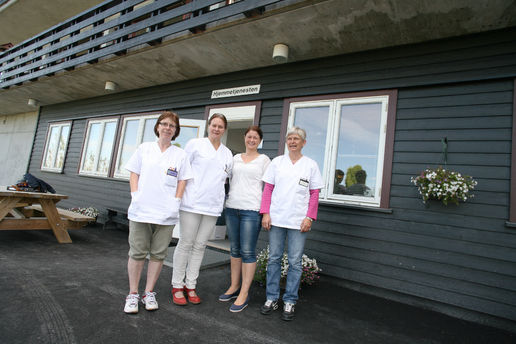 Hjemmetjenesten