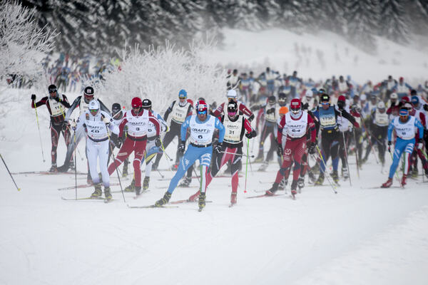 Group NordicFocus