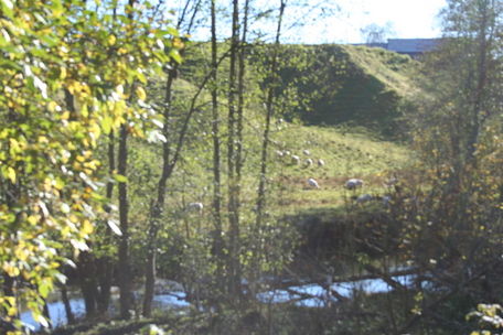 Natur i Hobøl, fotograf Eva K Utne Natur i Hobøl, fotograf Eva K Utne