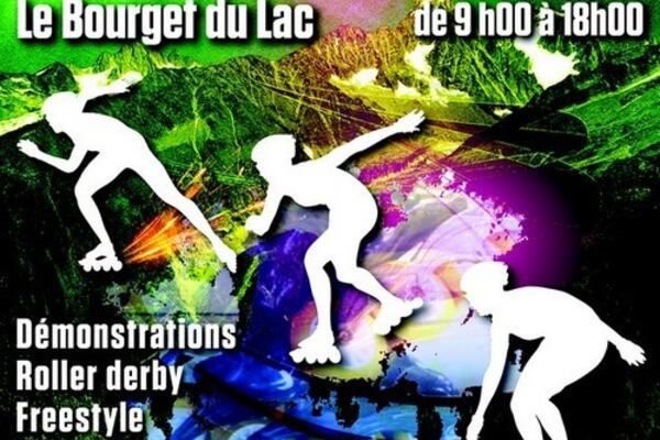 affiche roller 2014-2