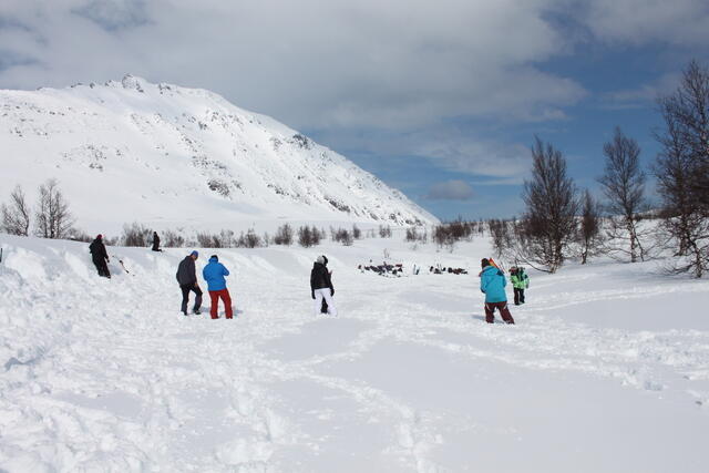søketrening med skredsøker