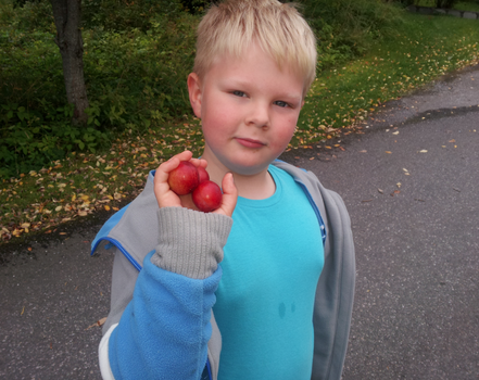 Steinar Oliver Furu Olsen