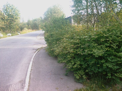 Trafikksikker skoleveg Foto: Trygg Trafikk Trafikksikker skoleveg