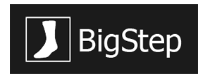 LogoBigstep300.png