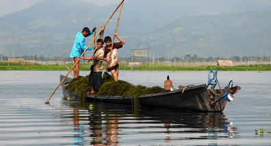 2014-09-08 Inle Hoved