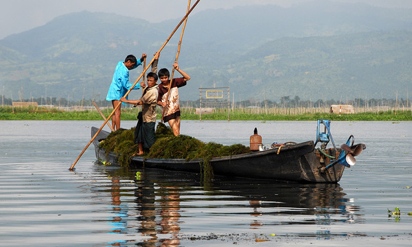 2014-09-08 Inle Hoved