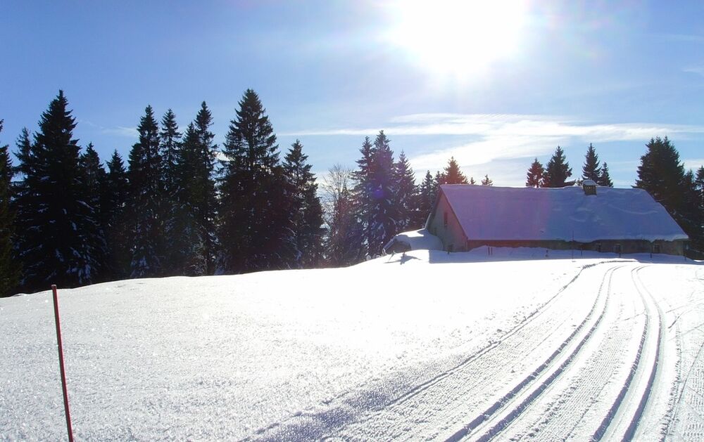 Pistes_de_ski_de_fond_Julie_ROUSSELET__12_