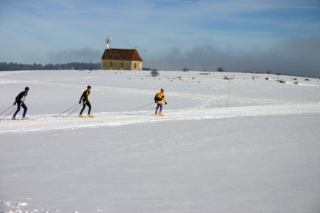 Ski_de_fond_Sports_Nature.jpg