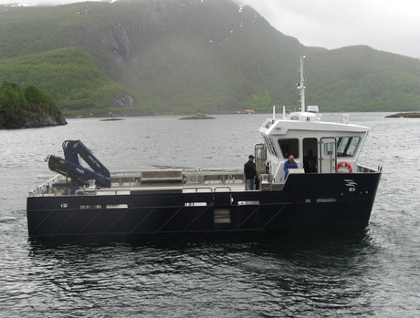 Katamaran_460x349.jpg