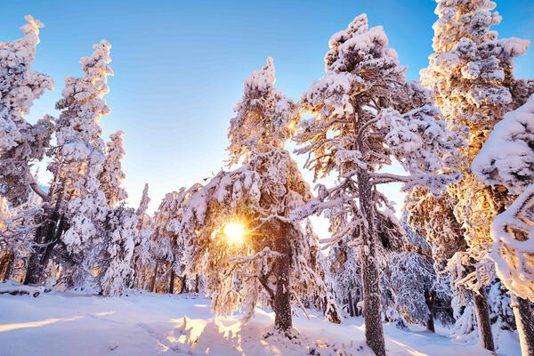 28.11.2014, Ruka, Finland (FIN): winter scenery around Ruka- FIS world cup cross-country, training, Ruka (FIN). www.nordicfocus.com. © Felgenhauer/NordicFocus. Every downloaded picture is fee-liable. NordicFocus