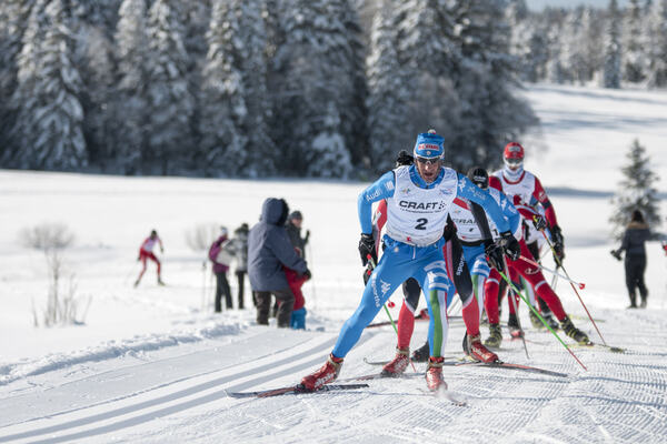 Bonaldi NordicFocus