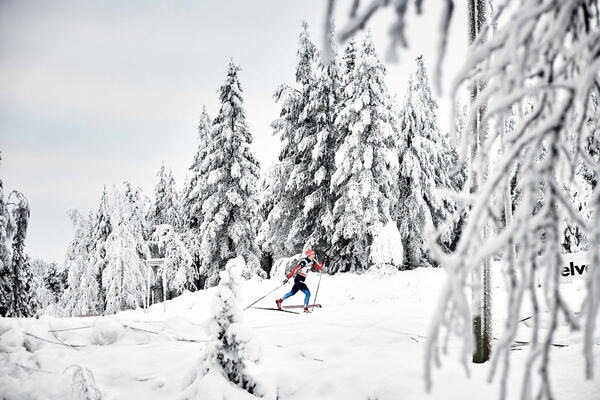30.11.2014, Ruka, Finland (FIN): Natalia Korosteleva (RUS), racing in white woods- FIS world cup cross-country, 10km women, Ruka (FIN). www.nordicfocus.com. © Felgenhauer/NordicFocus. Every downloaded picture is fee-liable. NordicFocus