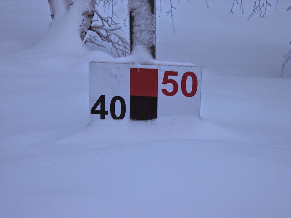 40 