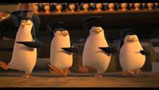 madagaskar