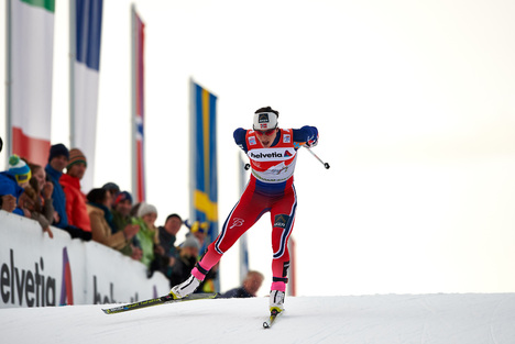 08.01.2015, Cortina-Toblach, Italy (ITA): Marit Bjoergen (NOR)- FIS world cup cross-country, tour de ski, pursuit women, Cortina-Toblach (ITA). www.nordicfocus.com. © Felgenhauer/NordicFocus. Every downloaded picture is fee-liable. NordicFocus 08.01.2015, Cortina-Toblach, Italy (ITA): Marit Bjoergen (NOR)- FIS world cup cross-country, tour de ski, pursuit women, Cortina-Toblach (ITA). www.nordicfocus.com. © Felgenhauer/NordicFocus. Every downloaded picture is fee-liable.