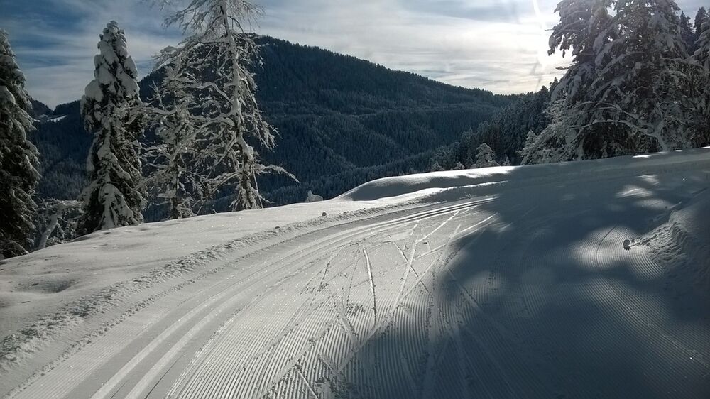 WP_20150118_005