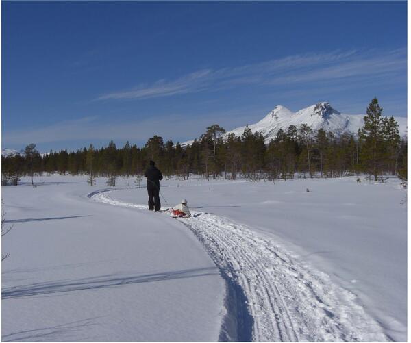 Skitur