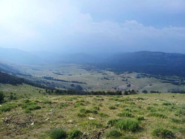 TRAIL GRASSE