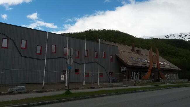 Storhalti