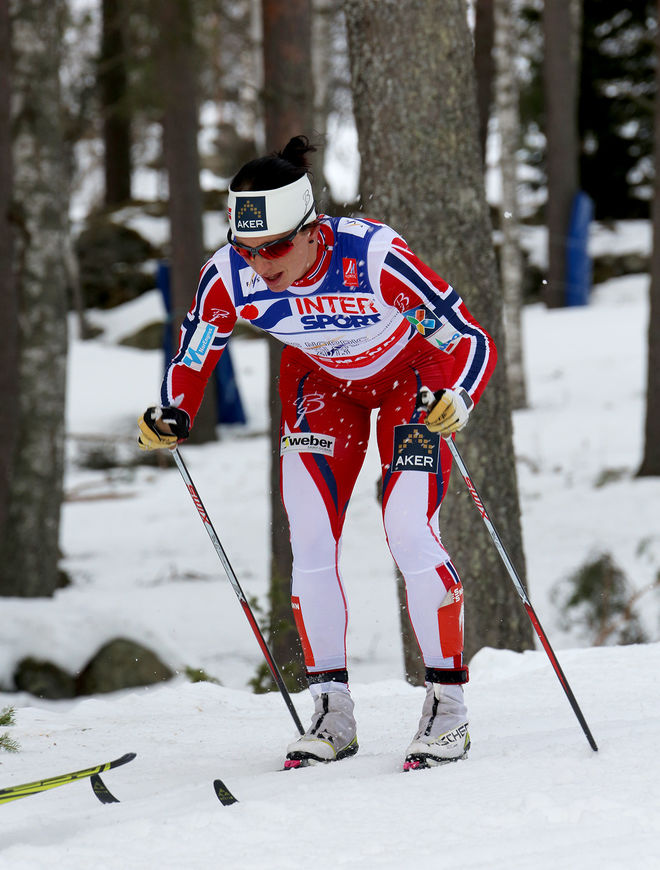 MARIT BJÖRGEN kommer att satsa mera på stakningen kommande säsong. Hon har ett hopp om att bli första dam som vinner en världscuptävling utan fästvalla. Foto/rights: MARCELA HAVLOVA/sweski.com